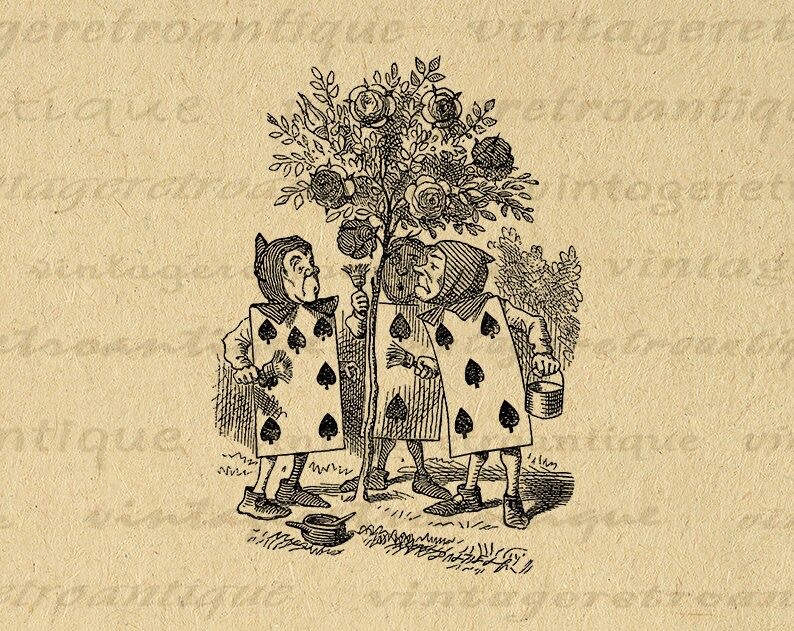 Paquete de Té de Manzanilla Orgánico